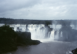 LEICA M6, SUMMICRON 2/50